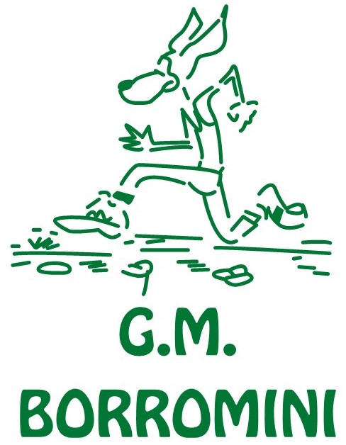 logo GM Borromini